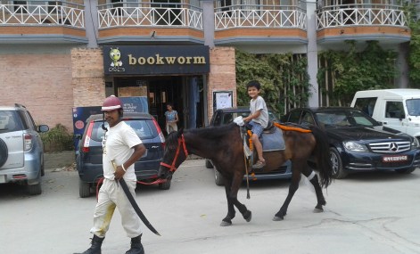 Sumanth getting a horse ride at a recent birthday party.