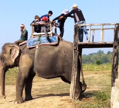 People boarding an elephant - it looks hard, but its quite easy.