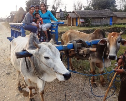 We rode on Shivratri - children in the villages held strings across the road so we couldn't cross.  They asked for money and then released the strings - similar to our Trick or Treating in the USA!