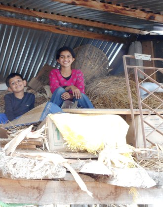 We found all kinds of interesting things up here!