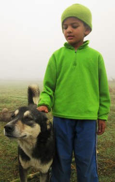 Hero is such a cool dog!  Playful, protective and affectionate...  