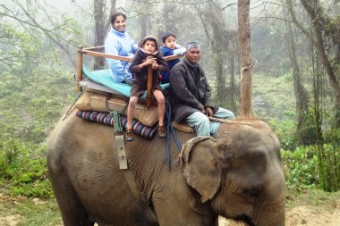 Such a neat experience to see wildlife atop an elephant!