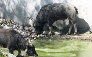 ???????????????????????????????