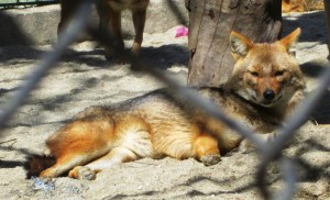 ???????????????????????????????