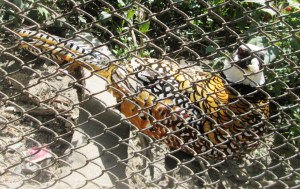 ???????????????????????????????